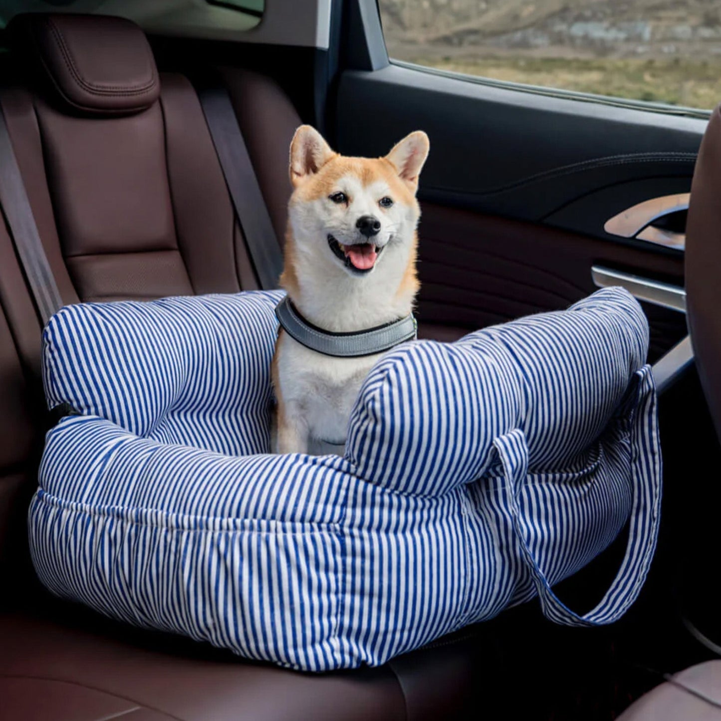 Silla de Auto Para Perro – Confort Óptimo En Desplazamiento