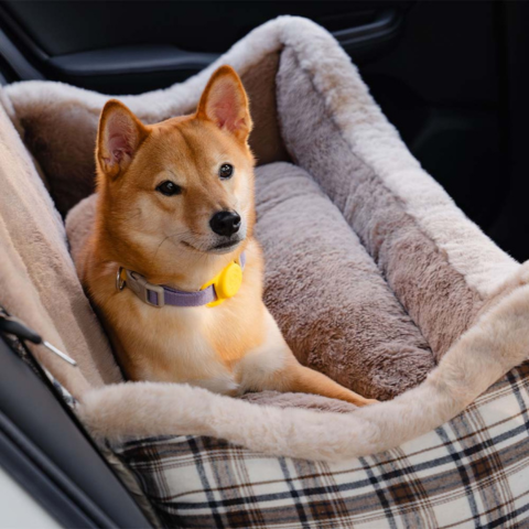 Banquette De Voyage Pour Chien – Confortable Et Facile À Installer