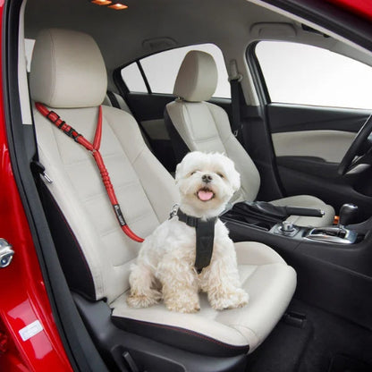 Verstelbare Veiligheidsriem Voor Hond – Speciaal Voor Auto 