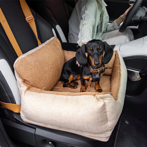Seggiolino Auto Per Cani – Comfort E Sicurezza In Auto 