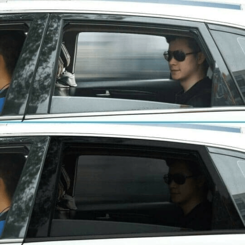 Parasol Extensible Para Coche 