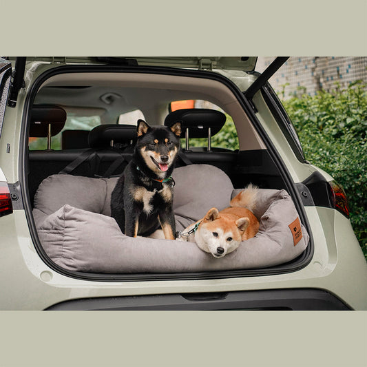 Silla de Auto Para Perro — Viaja Juntos Con Total Seguridad 