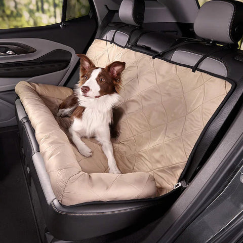 Dog Couch Cover – Cleanliness and Comfort Guaranteed 