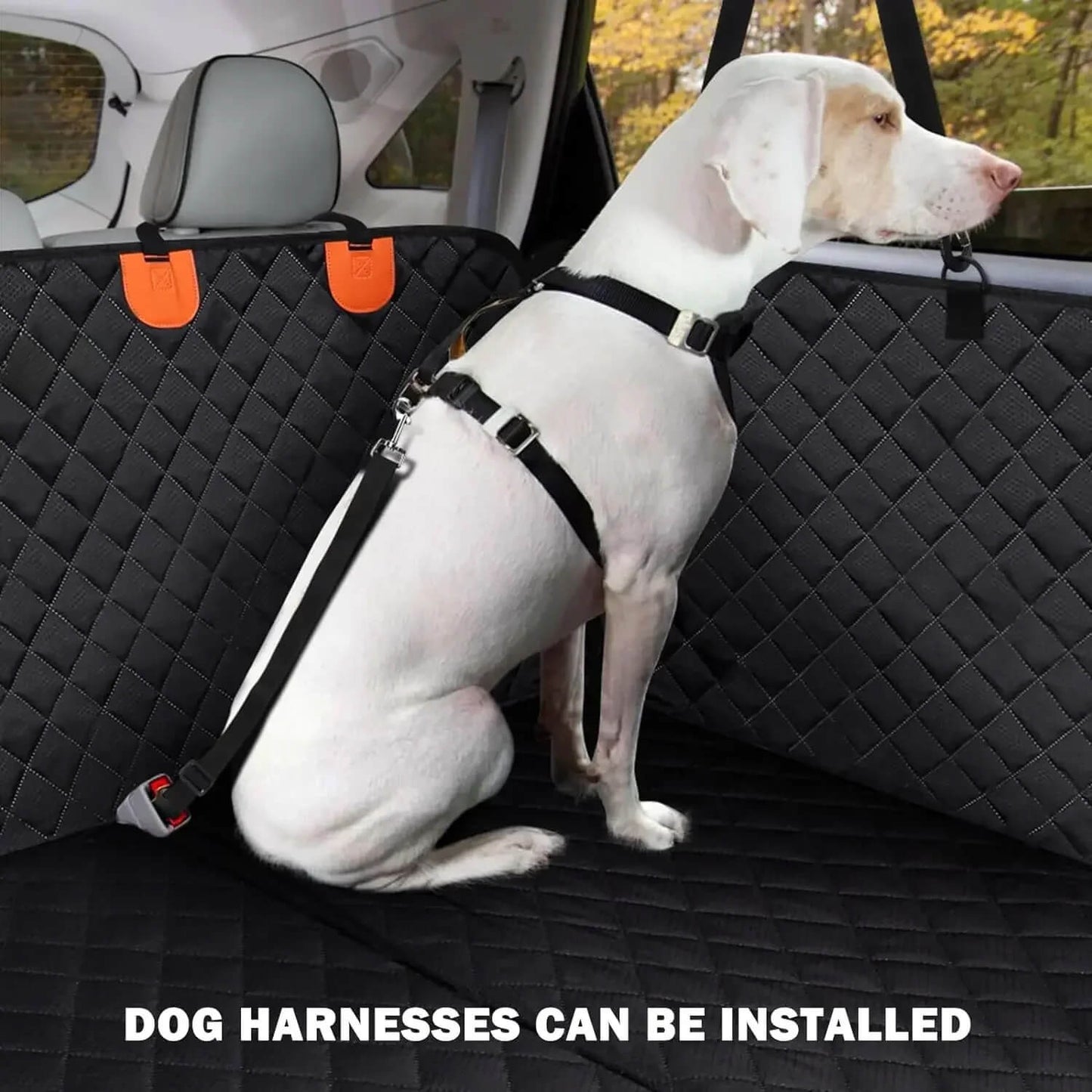 Zitplaatshoes Auto Voor Hond – Waterdicht & Antislip Met Veiligheidsharnas 